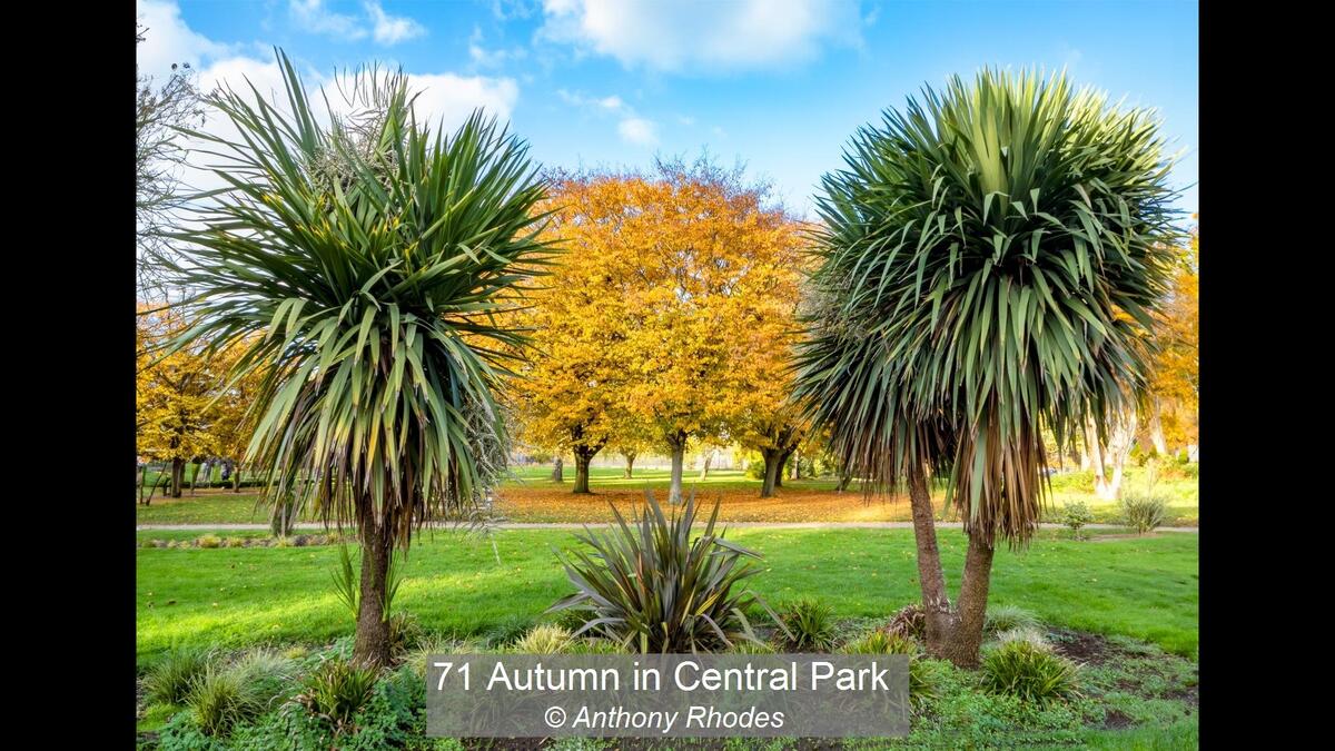 00_71 Autumn in Central Park_Anthony Rhodes